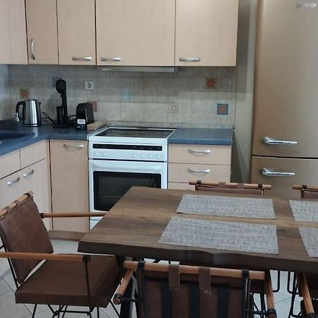 אלכסנדרופולי Catherine'S Home מראה חיצוני תמונה
